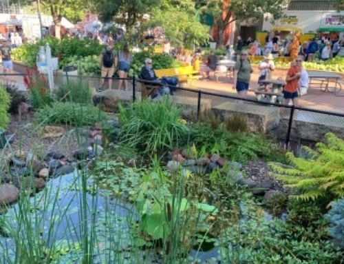 MWGS Water Garden at the MN State Fair