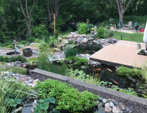 2024 MWGS Water Garden Tour a Success!